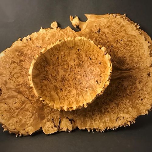 Maple burl emerging bowl