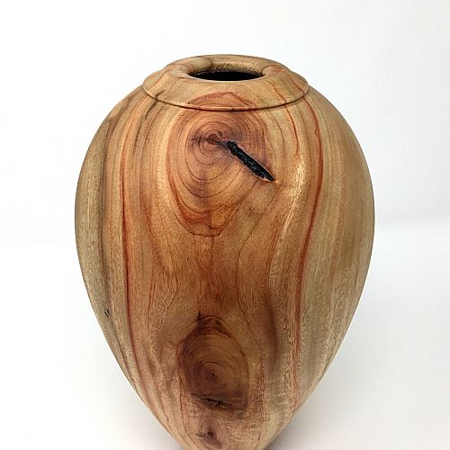 Camphor Hollow Form 10”x5.5”