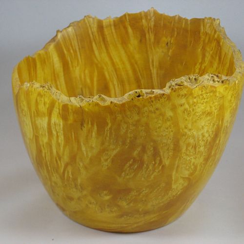 Bigtooth Maple Burl Vessel