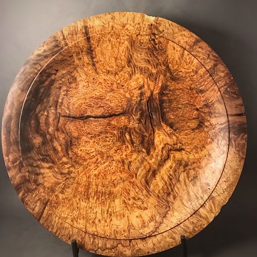 Crack in a burl