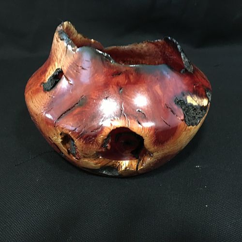 Manzanita burl