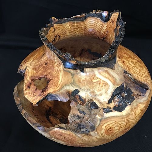 Aspen burl live edge