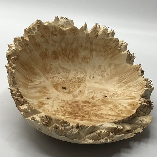 Maple Burl