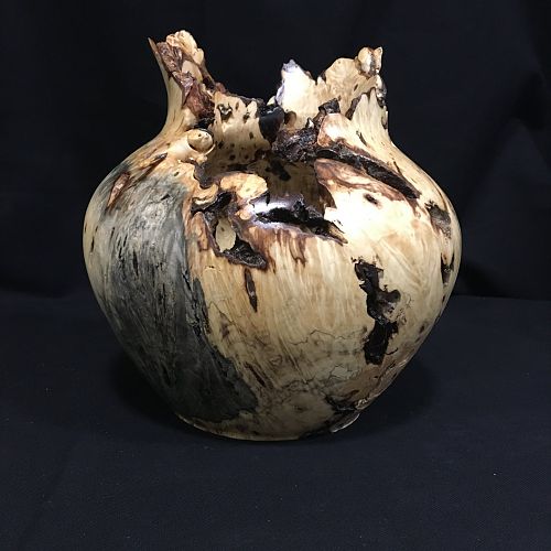 Buckeye burl