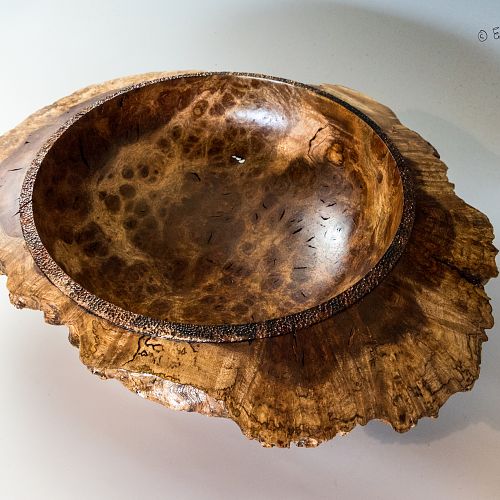 Maui Koa Burl