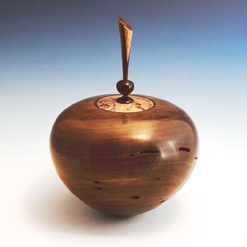 Wormy walnut hollow form