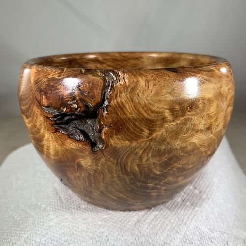 Pine Burl