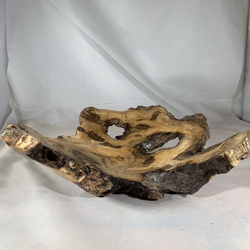 Mulberry Burl