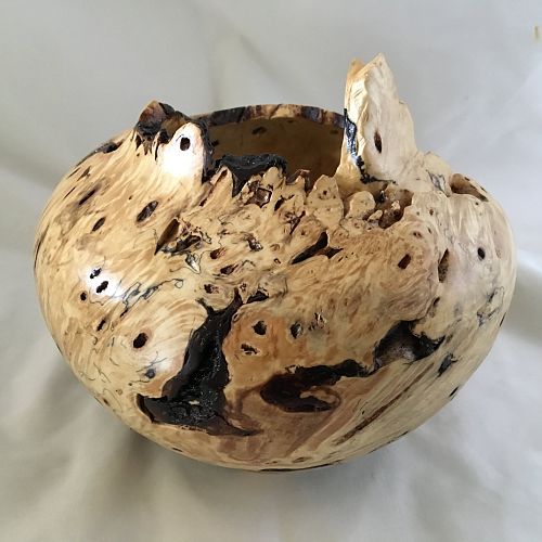 Buckeye burl