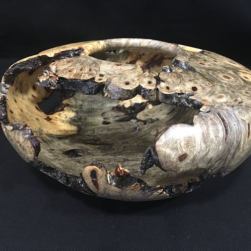 Buckeye burl