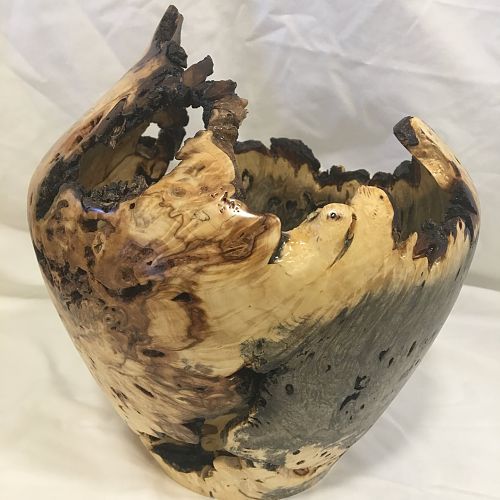 Buckeye burl