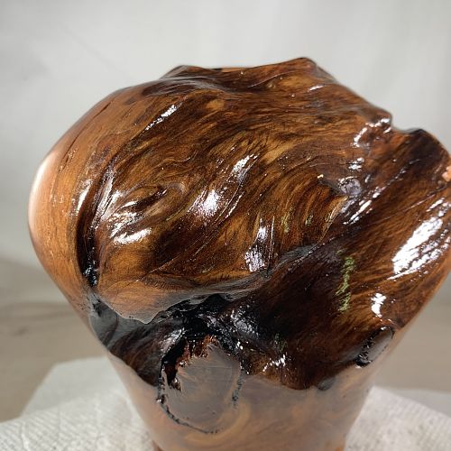 Juniper burl