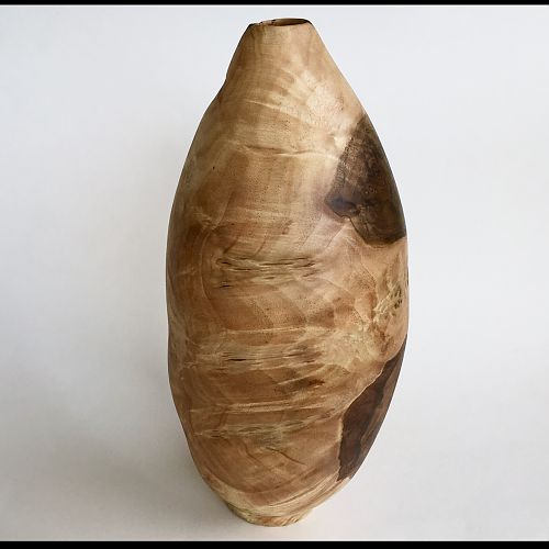 Alternate view