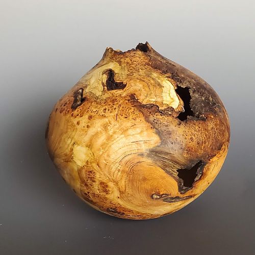 Burl Hollow Form