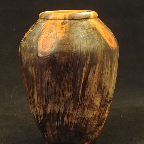 Norfolk Island Pine hollow form