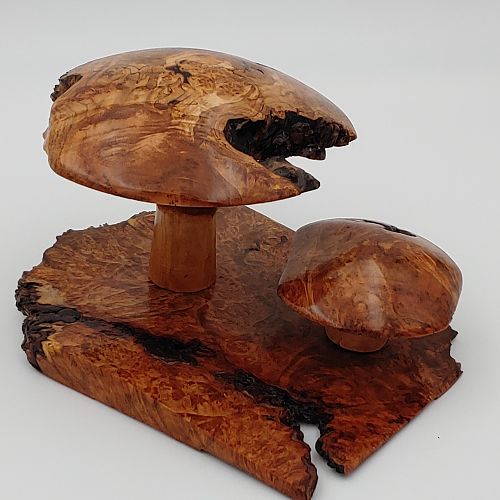 Burl mushroom