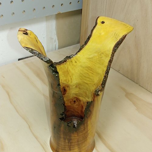 Pecan crotch