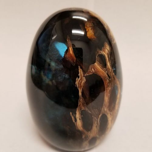 Stabilized Cholla/Resin Egg