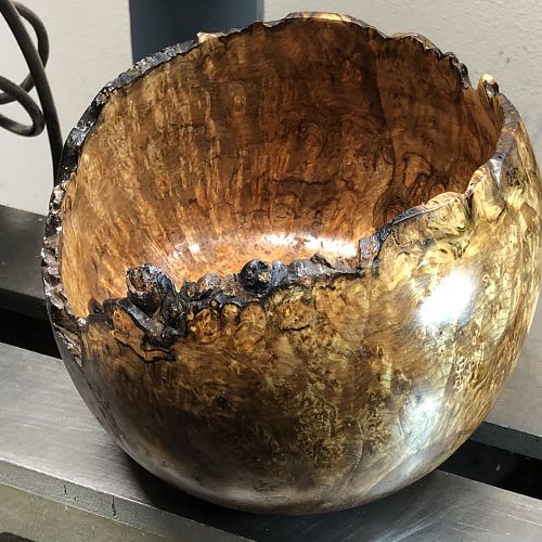 Silver maple burl live edge vessel