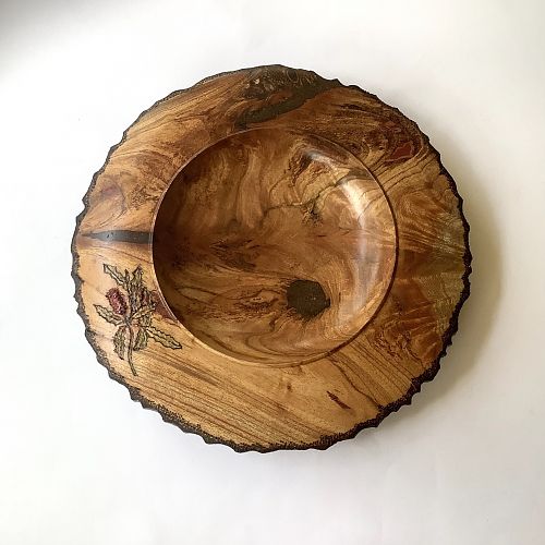 White Cedar and Banksia Pod