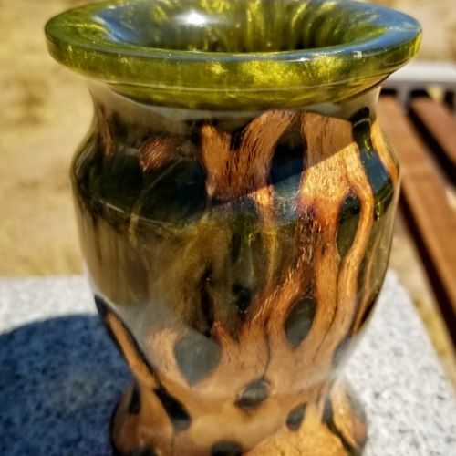Stabilized Cholla Resin Vase