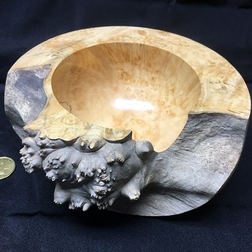 Box Elder Burl Bowl