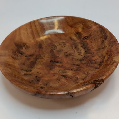 Red Gum Eucalyptus Burl