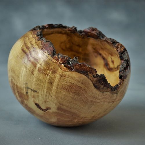 Honey Locust Burl Natural Edged Bowl