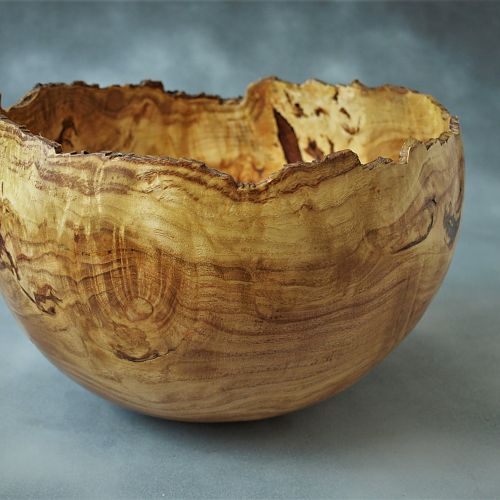 Honey locust burl