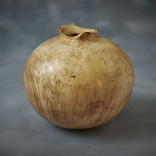 Boxelder Burl Hollow form