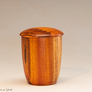 Koa Box