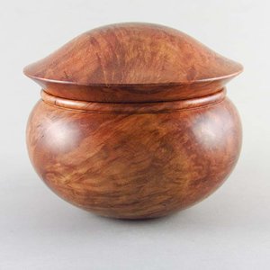 Red Coolibah Burl Lidded Box