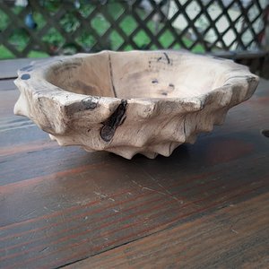 Tortoise Bowl