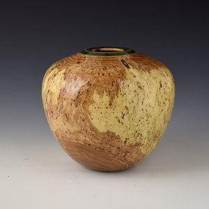 Honey Locust Burl