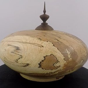 Beech hollow form