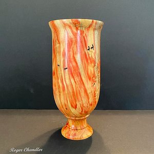 Box Elder/Manitoba Maple Vase