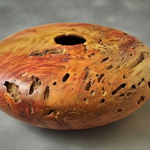 Boxelder Hollow Form