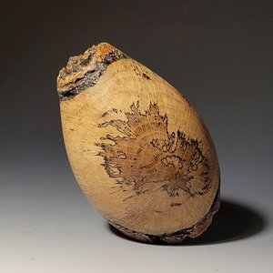 Double Natural Chinkapin Oak