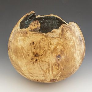 Lombardy Poplar Burl Calabash