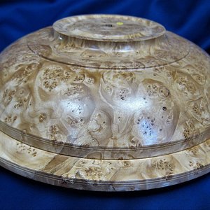 1885 maple burl bowl