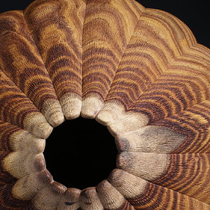 Rosewood Vessel detail