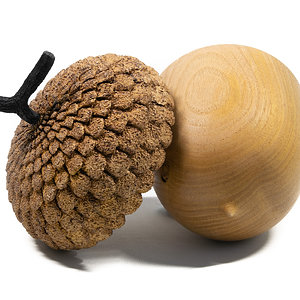 Acorn Box