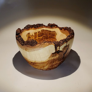 Poplar Burl Bowl #2