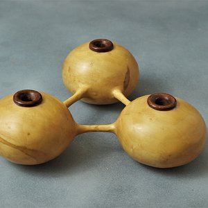 Boxelder tripod