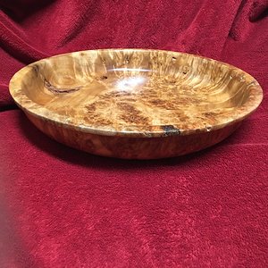 Cottonwood burl