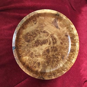 Cottonwood burl