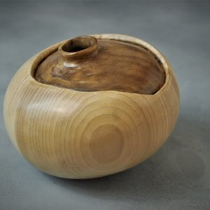 Vessel in a vessel