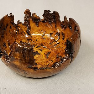 Post Oak Burl Bowl