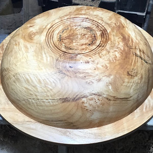 Maple burl