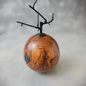 Cherry burl Hollow form